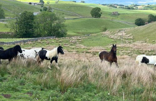 The Green Hayloft, Lakes & Dales - Photo 29