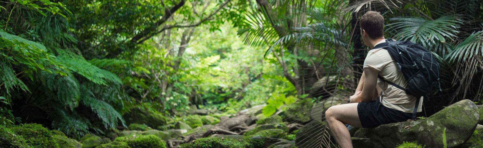 Tour di 3 giorni nella Foresta Amazzonica