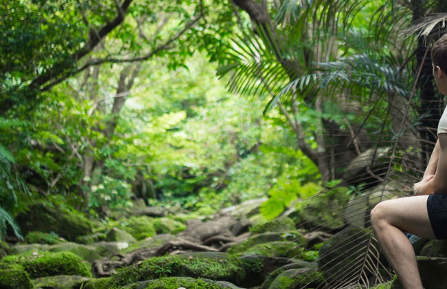 Tour di 3 giorni nella Foresta Amazzonica - Foto 1