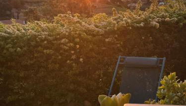 Les Vigies-T4 vue mer-terrasse-parking-6 pers - Foto 4, Garden