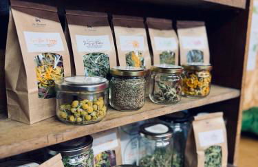 Eco-Domaine La Fontaine - RESIDENCE-SPA - 300 m Plage de la Fontaine aux Bretons - Foto 53