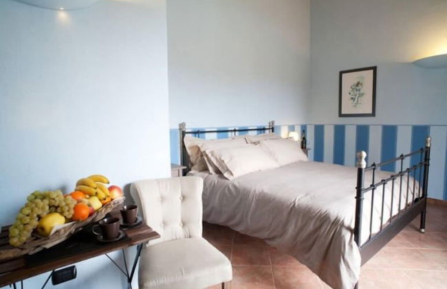 Il Torchio Snc - Photo 5