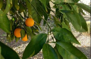 StayShores Chic Retreat – Pool HotTubSweet Sleep - Photo 54