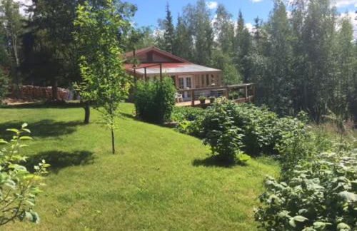 Moose Mountain Cabin- Cozy retreat with aurora views - Foto 33