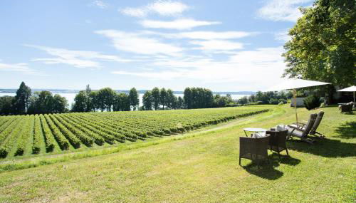 Schloss Kirchberg - Schlossnest - Foto 2