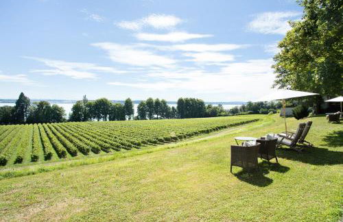 Schloss Kirchberg - Schlossnest - Foto 2