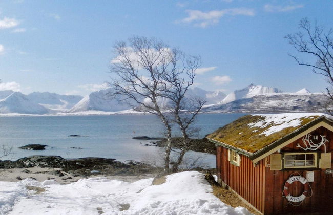 6 Person Holiday Home in Borkenes-by Traum - Foto 11