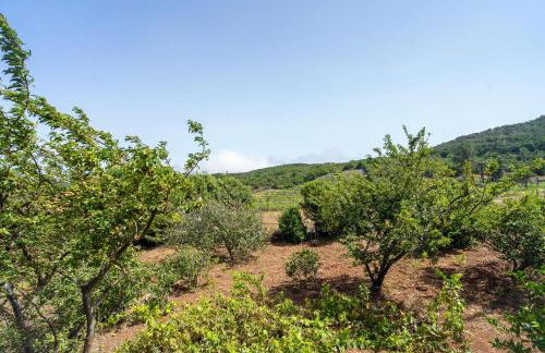 Casa Fátima Valle Gran Rey - Foto 28