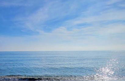 Grande Bilocale con giardino - Foto 15