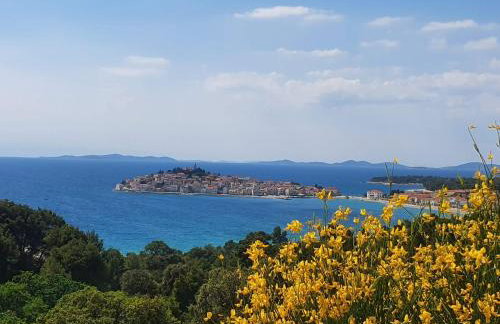 Apartman dida Jakov - Foto 37