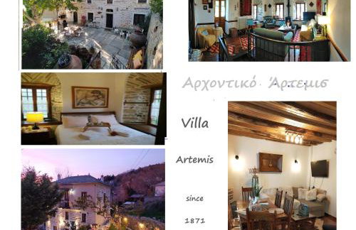 ΑΡΧΟΝΤΙΚΟ ΑΡΤΕΜΙΣ-Villa Artemis since 1871 - Foto 1