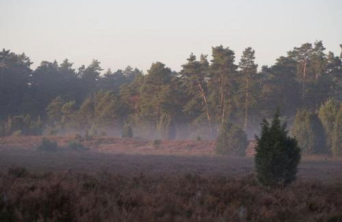 Apartment at the Eichenpark - Foto 27