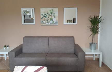 La Rondine - Foto 11