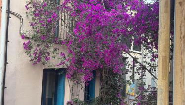 Casa Jueliatte - Foto 2