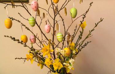 Dalvey Mill Cottage - Foto 3