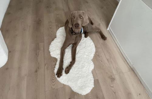 Villa indépendante dans un domaine privé 25 minutes de Cannes - Foto 21