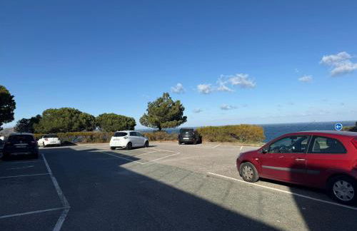 Studio cabine à Banyuls-sur-Mer avec terrasse - FR-1-309-210 - Foto 19