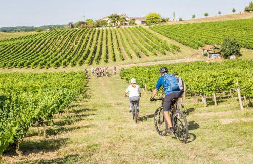 Domaine de la durantie - villa avec jacuzzi - Photo 19