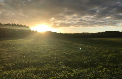 Ferienwohnung am Wald - Foto 51