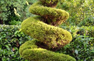 Haus Tanja - Foto 43