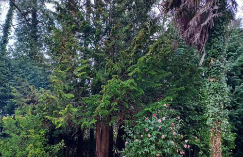 Aux 4 mousquetaires Athos - Foto 9