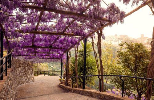 Villa San Lorenzo - Photo 51