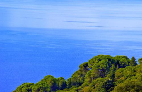 House in Εndless green - Arethousa, Ikaria - Photo 45