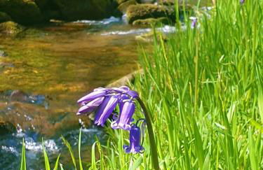 Bijou Cottage in Brontë Country with Wood-burning Stove & Hot Tub Spa - Foto 42