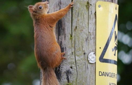 Craig Cottage - Photo 11