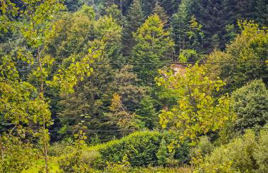 GoodMood Bieszczady - ogrzewany domek całoroczny - Foto 44