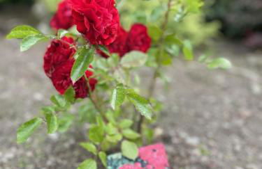 Galloway Farmstay Claunch - Foto 21