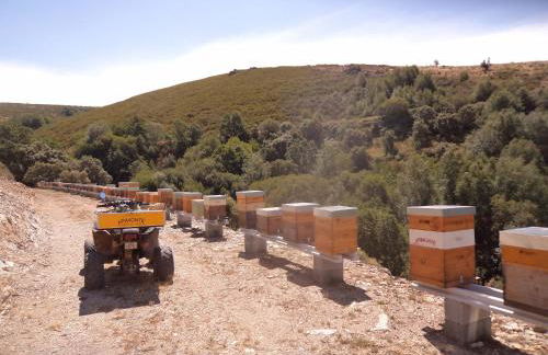 Apimonte O Cantinho da Maria - PN Montesinho - Foto 63