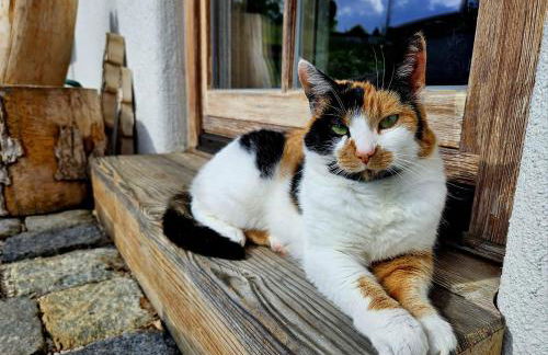 Malterlehen-Berchtesgaden - Foto 53