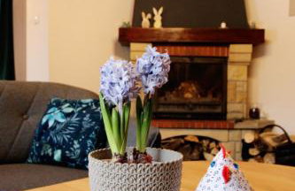 Dom pod Bukami - Foto 64