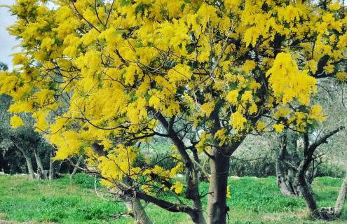 Casa rural Cal Fuster Experience - Foto 75