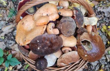 Morowo chałupa - Photo 66