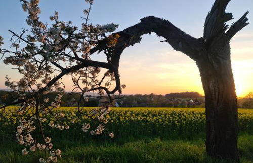 Gästehaus zum Rosengarten - Photo 48