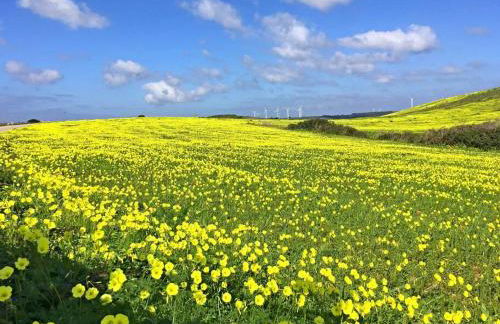 Casa Bambu - Foto 14