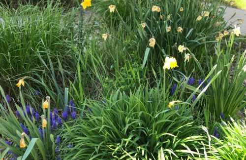 Beautiful Luxury Suite A & B of Shorewood Home - Foto 23