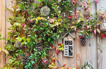 Cocon entre presqu'île du Cap Ferret et plages océanes - terrasse - 1 vélo gratuit - Foto 34