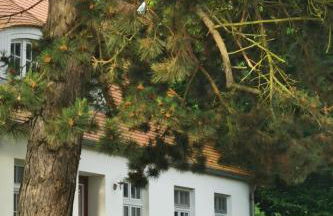 Apartment Wohnung für sechs Personen im Dachgeschoss by Interhome - Foto 23