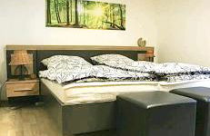 Ferienwohnung Dörnberg erleben mit Tiere bei Winterberg - Foto 10