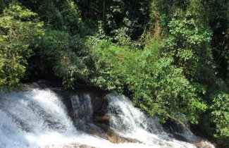 Casa em Paraty, bem localizada, com dois quartos - Foto 22