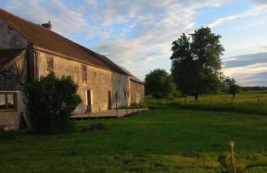 Les hirondelles - Foto 12