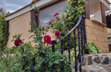 CASA TURÍSTICA Villa Carmen, CON AMPLIO JARDIN QUE INCLUYE BARBACOA, 2 PORCHES, PARKING PRIVADO Y PISCINA - Foto 43