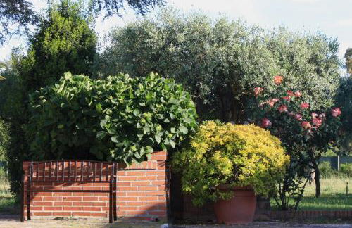 Appartamenti La Cicadea - Foto 19