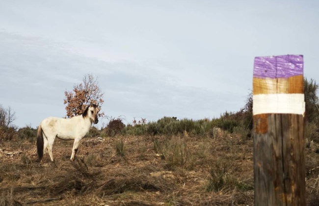 Senderismo por Vilar Maior - Photo 2