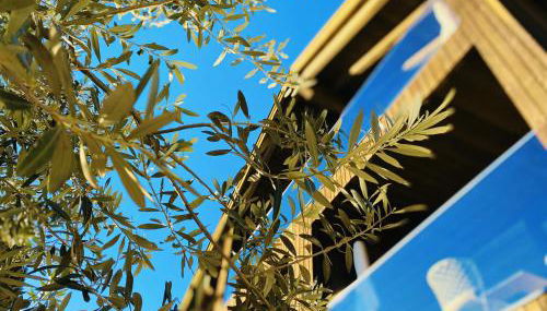 Residence Pranterhof - Foto 3