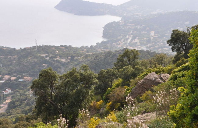 Apartment in le Rayol-canadel - Foto 16