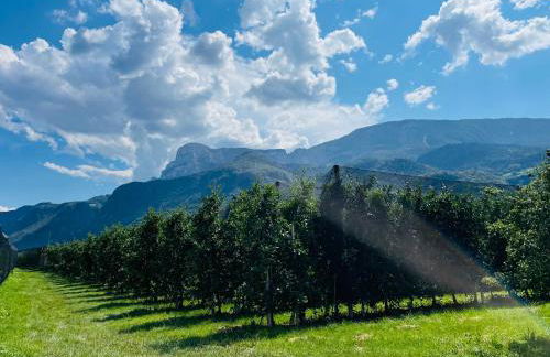 St. Vigilhof - Photo 62